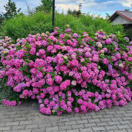 Dworek Sw.Antoniego Slawutowo Exterior photo